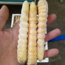 木虫，柴虫，哈虫，食用，统货，野生，高蛋白，高质量