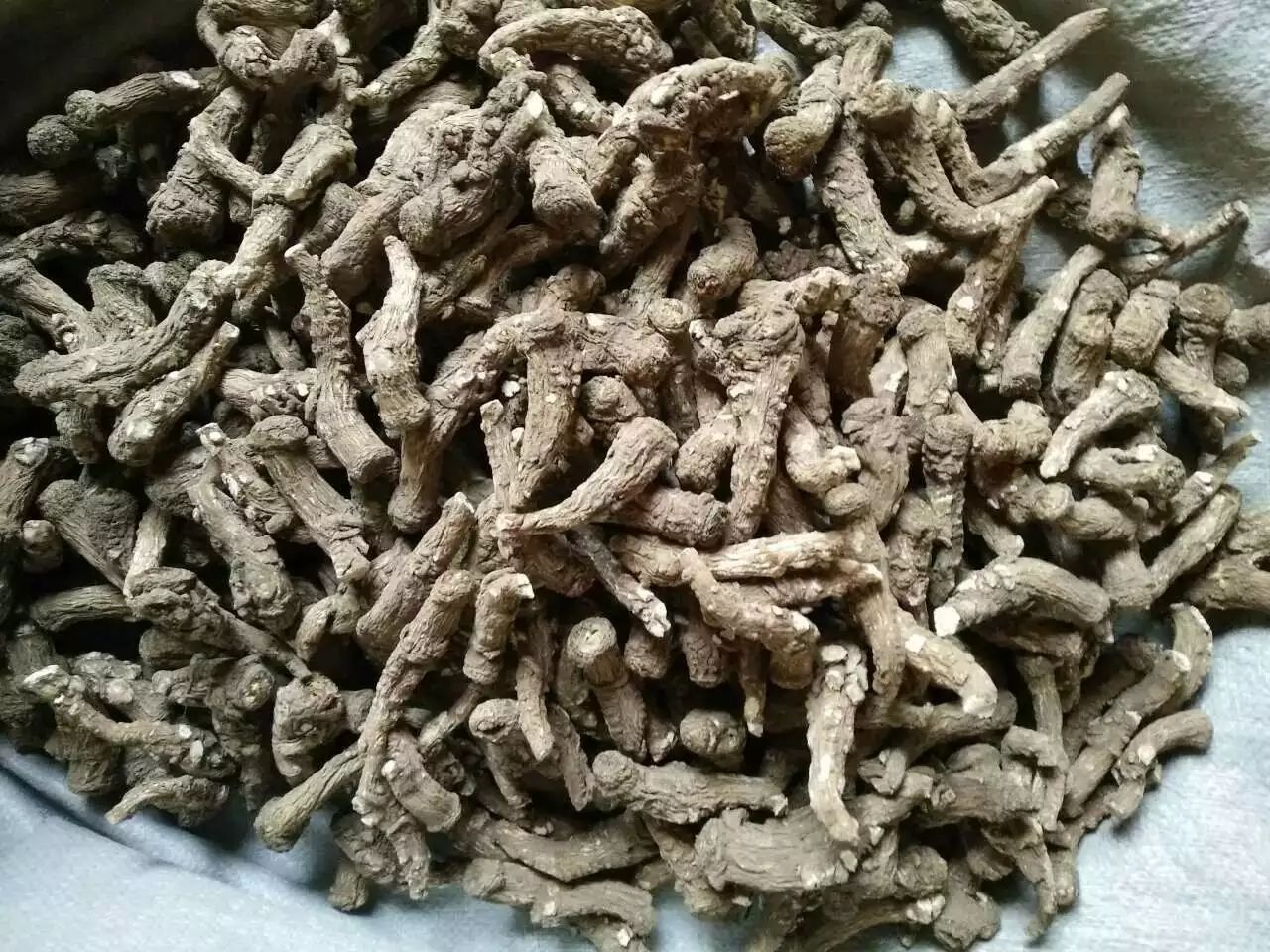 丹桂逍遥散的中药成分展示,包括当归、白芍、柴胡等 丹桂逍遥散药材组成