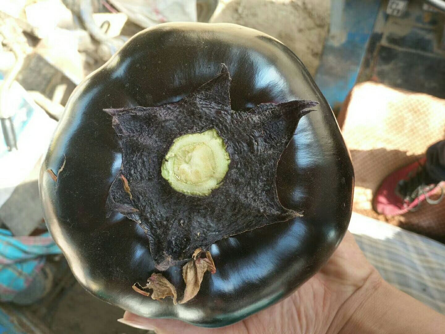 茄子整体与茄蒂位置特写