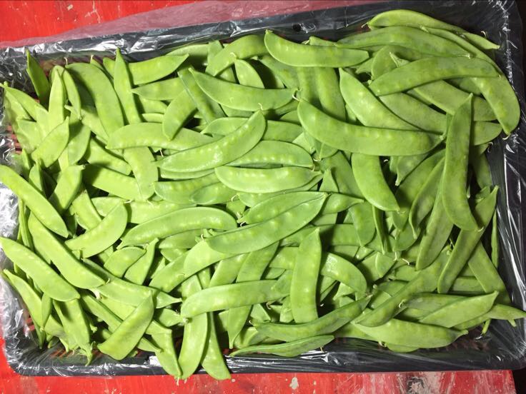 一盘炒好的荷兰豆菜肴,颜色翠绿,旁边搭配胡萝卜片和玉米粒,摆盘精致 荷兰豆烹饪成品图