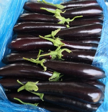 [长茄批发]长茄子 5两以上价格1.30元/斤 - 一亩田