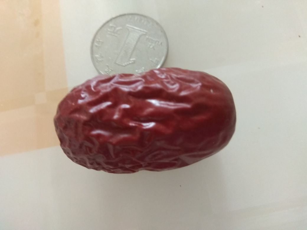 和田大枣大小对比特写：左侧3枚直径约1.8cm的自然完熟小果，表皮深红有光泽、褶皱细密均匀；右侧3枚直径2.4cm的大果，表皮略泛青黄、褶皱粗浅且局部开裂；背景为和田玉龙喀什河畔枣园实景