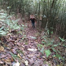 方竹1~2m