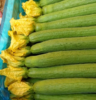 [鲜花丝瓜批发]鲜花丝瓜 40厘米以上价格1.50元/斤 - 一亩田