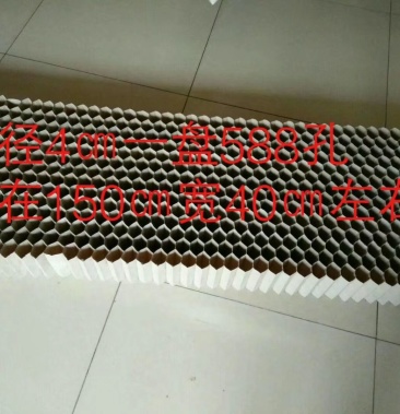 棉花白菜辣椒育苗纸钵育苗纸筒育苗穴盘