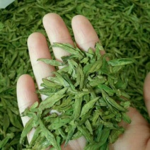 龙井茶一级