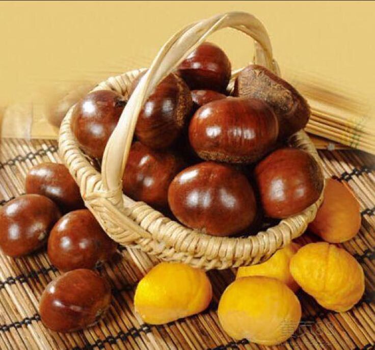 栗子深加工产品展示