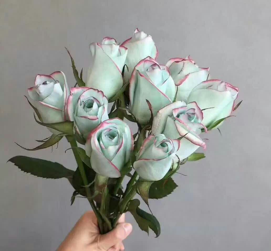 一个由深紫色大花月季‘暗夜魅影’为主花材设计的高端花艺作品,搭配银色尤加利叶和白色满天星,整体风格优雅奢华,放置于白色桌面上,背景虚化,展现其在婚庆或礼品场景中的实际应用效果 深紫色大花月季在花艺作品中的应用