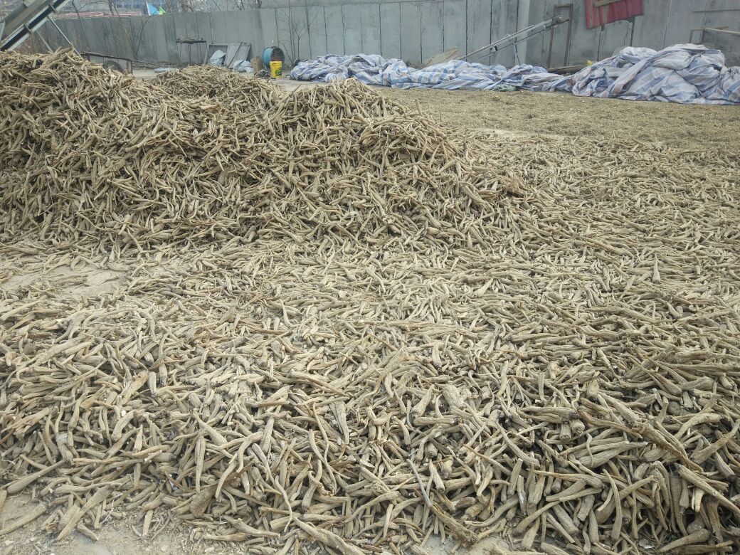 白芷作为功能性农产品的外用加工形态,展示其从原药材到家庭健康干预产品的标准化制备流程 白芷艾叶外敷包制作过程:手工将白芷粗粉、艾叶碎、花椒粒按比例混合,装入米白色棉麻布袋,袋口系麻绳,旁置蒸汽蒸笼