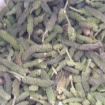 构棒穗构不素构棒穗