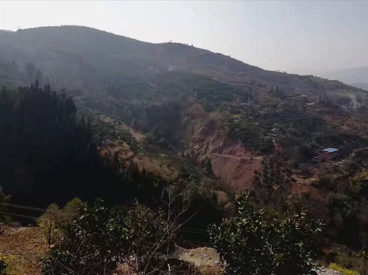 地图展示中国重庆市奉节县与江西省赣州市的地理位置,标注主要脐橙产区分布,包含长江流域与赣江流域地形特征,以及两地气候带差异示意 奉节县与赣州市地理位置对比图