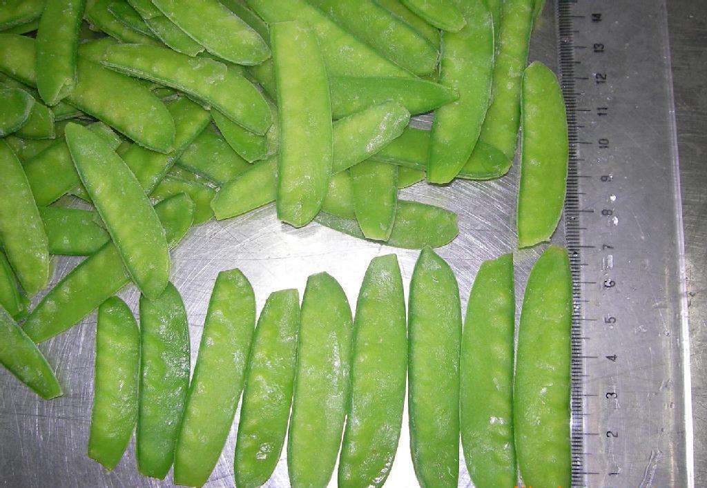 荷兰豆与普通豌豆角的外形对比图,展示两者在豆荚长度、厚度和颜色上的差异 荷兰豆与普通豌豆角的外形对比