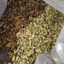 干菊花