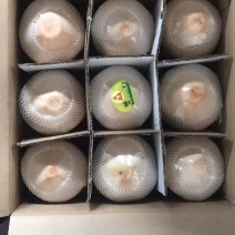 椰青1.5~2斤