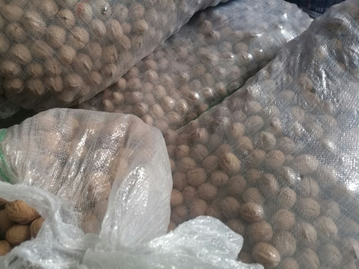 核桃壳在生物材料和环保领域的应用前景