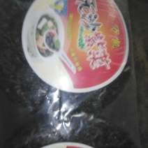 紫菜野生头水