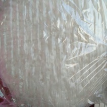 绿豆粉皮包装手工粉皮