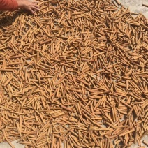 桂皮散装一级