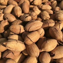 碧根果去皮25~30mm干