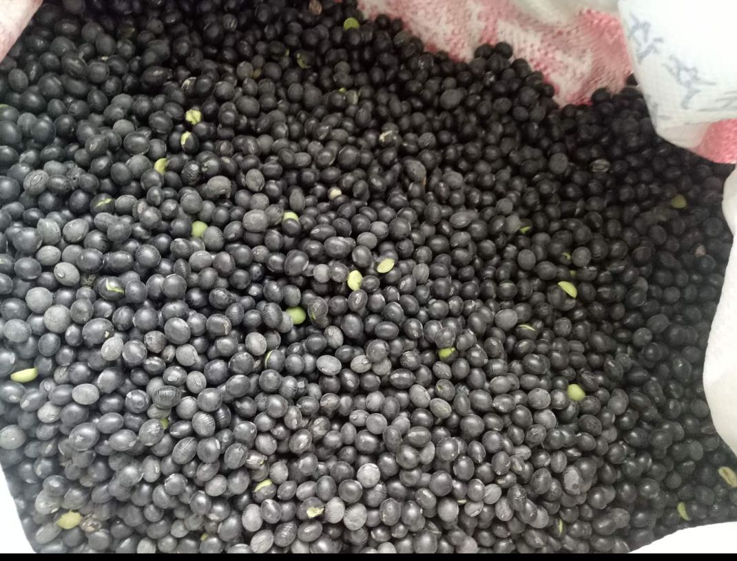 何首乌与黑豆煮水示意图