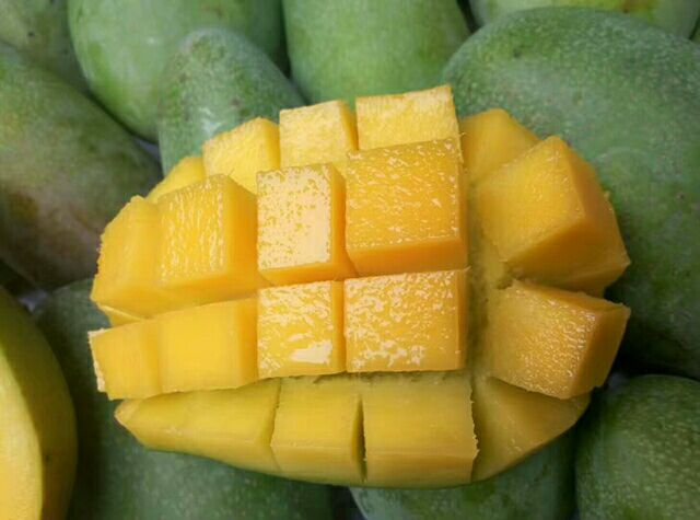 切开的大青芒露出内部扁平的果核,果肉呈淡黄色至青白色,果核位于中心位置,周围果肉清晰可见粘连情况,背景为白色瓷砖台面 大青芒剖面展示果核位置