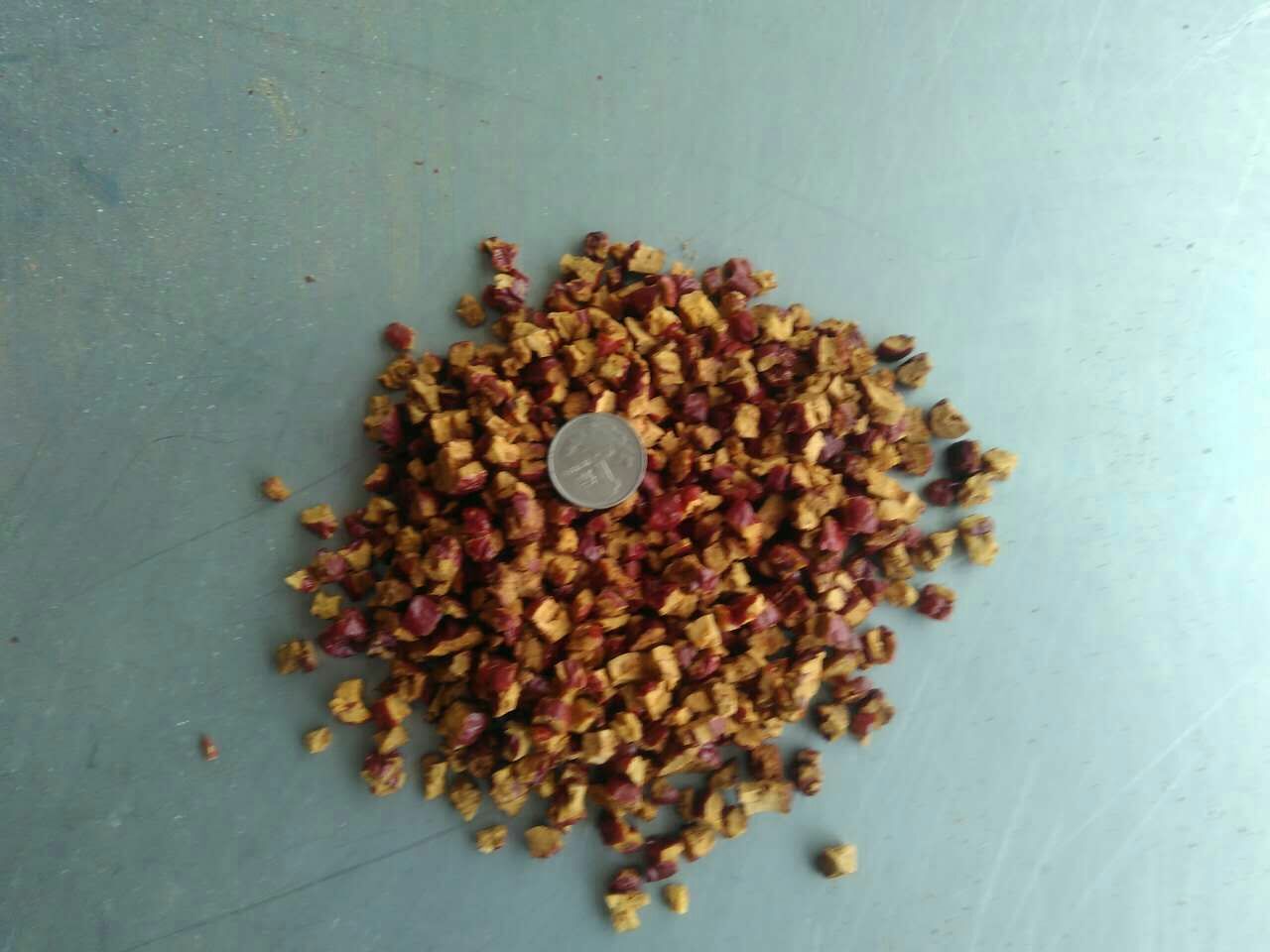 棉枣植株与地下鳞茎特写