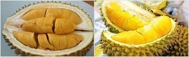 猫山王榴莲切开特写