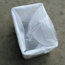 无纺布袋