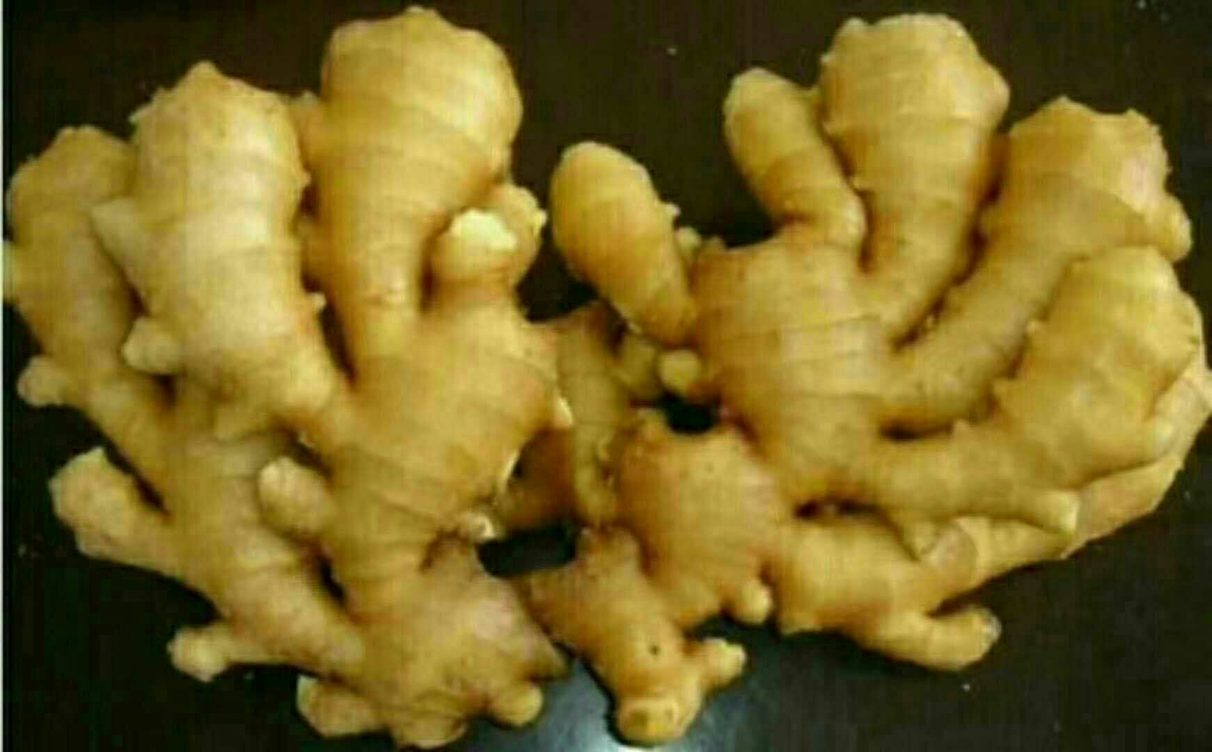 南姜与生姜营养成分对比图表