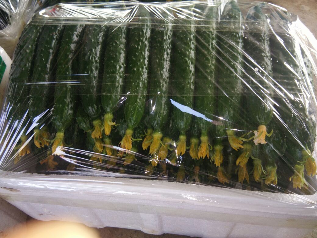 商超货架上的迷你带花小黄瓜包装产品