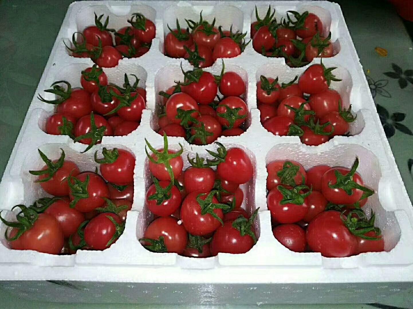 釜山88小番茄在商超货架与电商页面展示效果