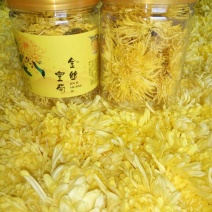 黄山高山金丝皇菊