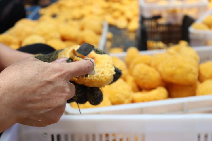 一只手正在将乳白色的小块银耳倒入不锈钢汤锅中,锅内已有清水,银耳碎片散落水中即将开始炖煮,旁边摆放着剪刀和泡过的银耳根蒂 银耳撕碎后放入锅中准备炖煮