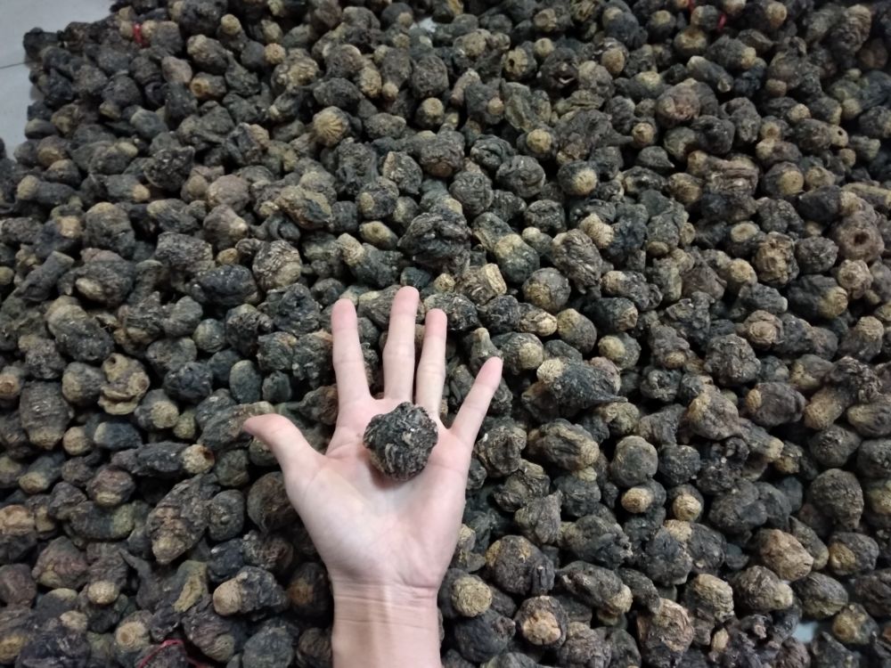 信息图表:三组柱状对比图,左侧标注'精子活力提升率'(黑玛卡37.2% vs 红玛卡15.1% vs 黄玛卡6.8%),中部'更年期Kupperman指数降幅'(黑玛卡41.6% vs 植物雌激素32.4%),右侧'VO₂max提升值'(黑玛卡11.3% vs 人参皂苷8.2%),背景为安第斯山脉剪影 秘鲁黑玛卡临床试验数据图表