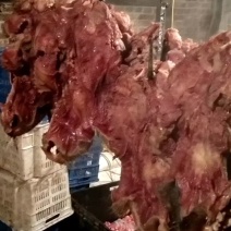 河北精品牛副产品牛杂