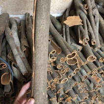 桂皮散装中通