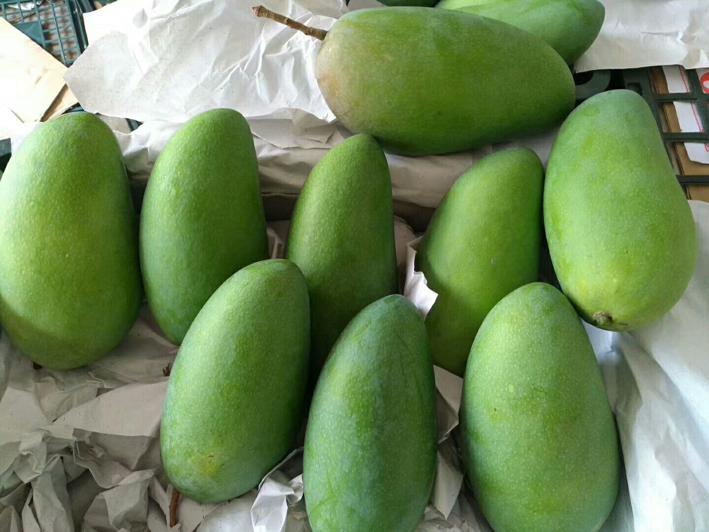 广州农贸市场中的大青芒摊位