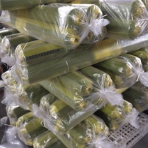 地膜黑白相间地膜