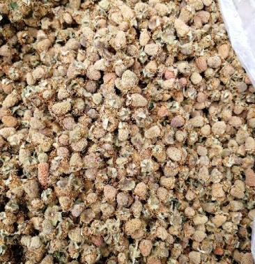 [覆盆子批发]覆盆子价格20.00元/斤 - 一亩田