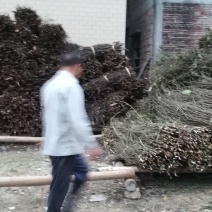 桂碎包装统货