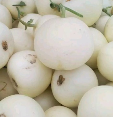 白甜双剑甜瓜 现已上市!对接电商平台,一件代发!