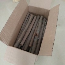 广西桂皮优质中通桂皮产地批发