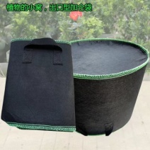 植树袋种植袋加厚美植袋无纺布育苗袋黑色加仑出口植树袋