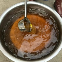 山茶果大籽