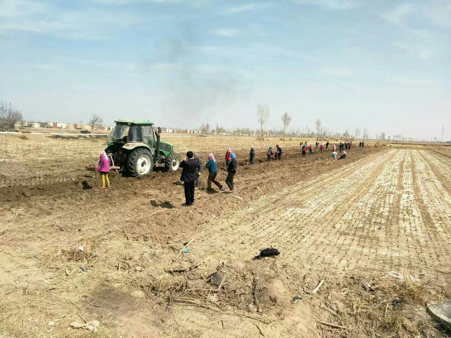 展示多种草甘膦除草剂瓶装产品,背景为农田环境 草甘膦除草剂产品展示