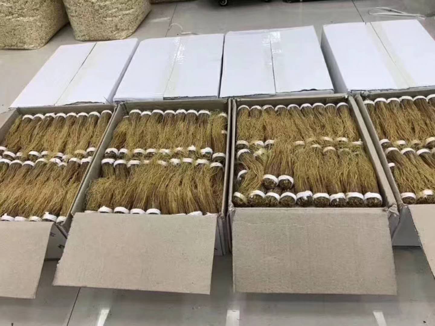 高丽参保鲜冷藏示意图