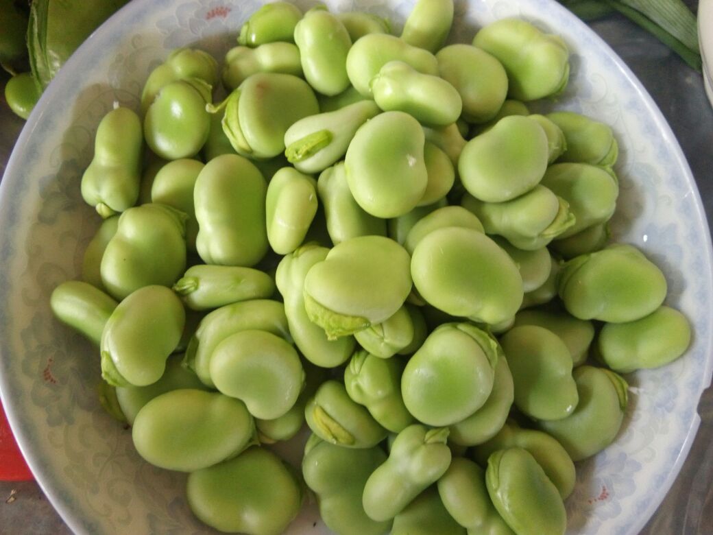 青蚕豆营养餐搭配图