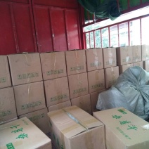 精品烘干食用桑葚干