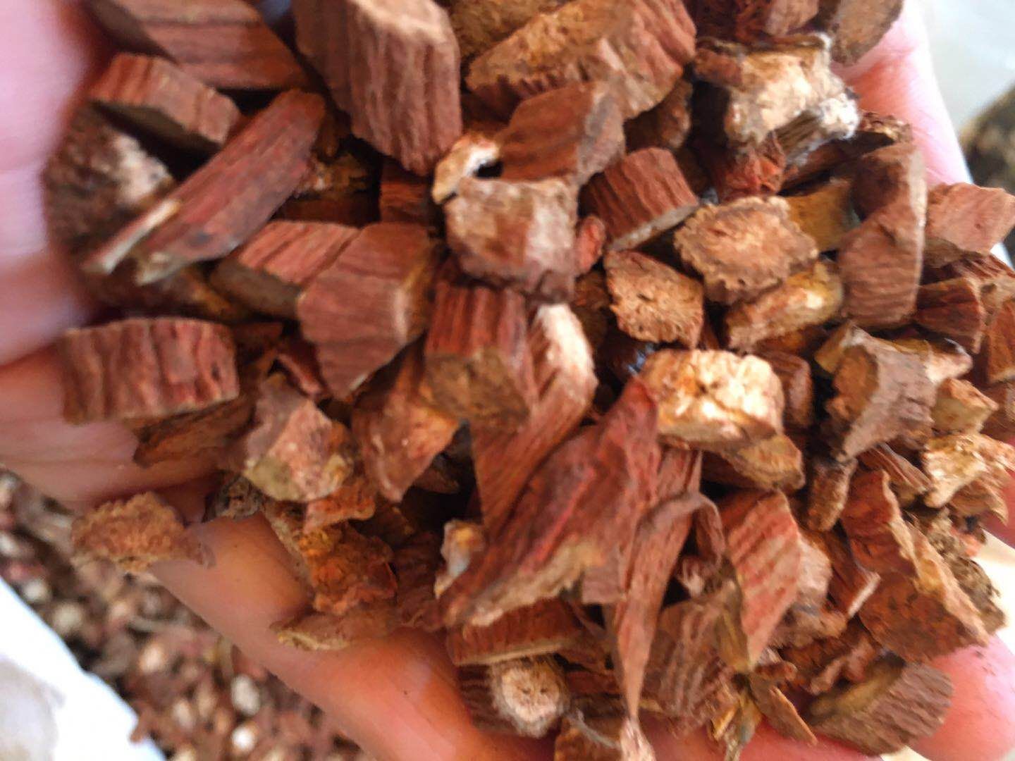 图中展示了丹桂地黄丸的主要中药材成分,包括熟地黄、山茱萸、山药、丹皮、茯苓、泽泻、肉桂和附子,排列整齐,颜色自然,适合用于中医养生类文章配图 丹桂地黄丸药材组成图