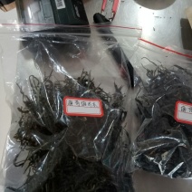 茶叶特级原产地原料加工